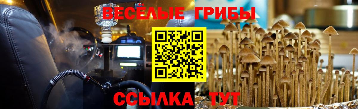 Галлюциногенные грибы Magic Shrooms  Вход с VPN  Учалы  Галлюциногенные грибы ЛСД 
